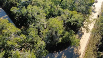 SATSUMA FL Property