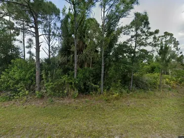 PORT CHARLOTTE FL Property