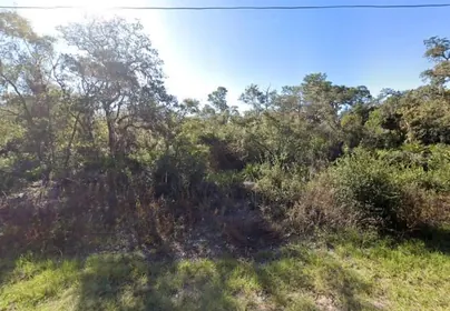 KISSIMMEE FL Property
