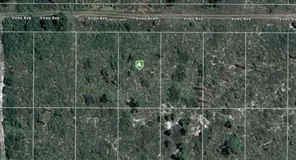 SEBRING FL Property