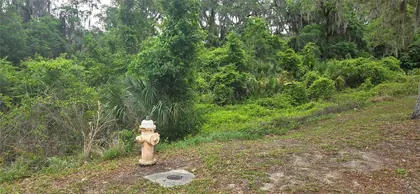 HERNANDO FL Property