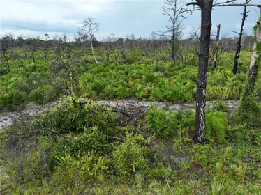 LAKE PLACID FL Property