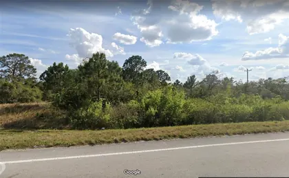 LAKE PLACID FL Property