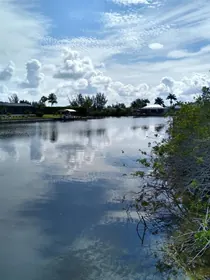 CAPE CORAL FL Property