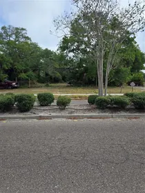 CLEARWATER FL Property