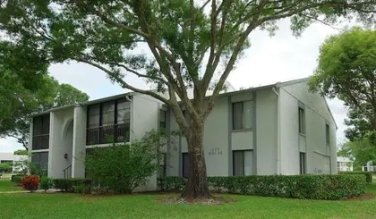 TARPON SPRINGS FL Home