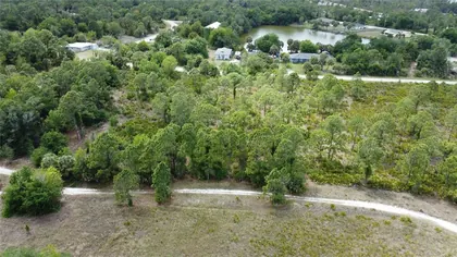 PUNTA GORDA FL Property