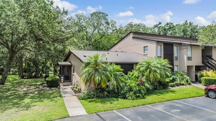 PALM HARBOR FL Home