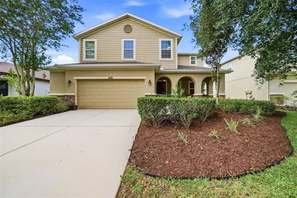 LAND O LAKES FL Home