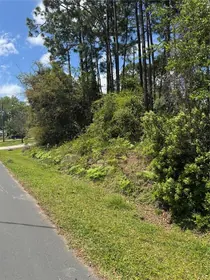 PALM COAST FL Property