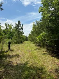 BUNNELL FL Property