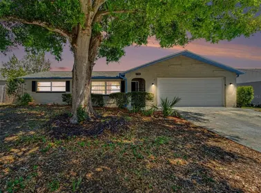 NEW PORT RICHEY FL Home