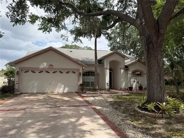 RIVERVIEW FL Home