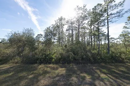 INDIAN LAKE ESTATES FL Property