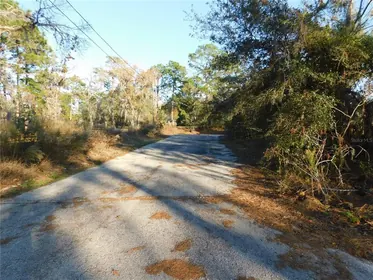 INVERNESS FL Property