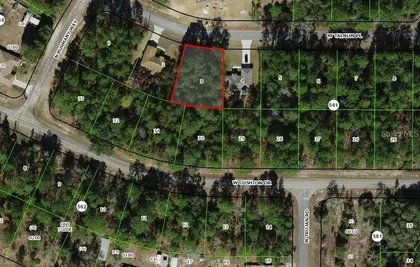 CITRUS SPRINGS FL Property