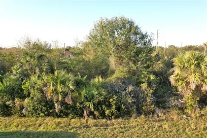 PORT CHARLOTTE FL Property