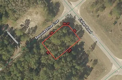 OCKLAWAHA FL Property