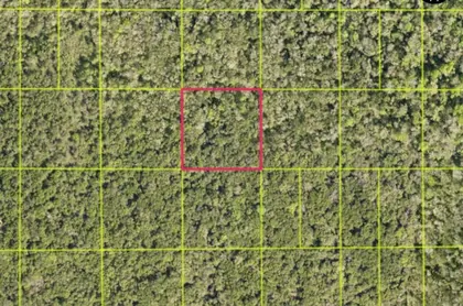 OAK HILL FL Property