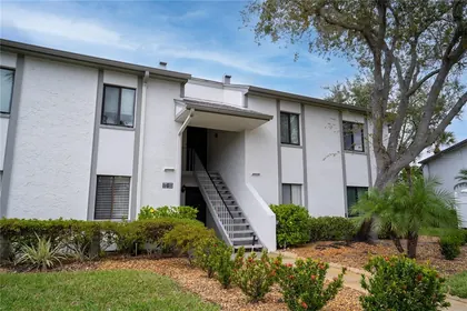 OLDSMAR FL Home