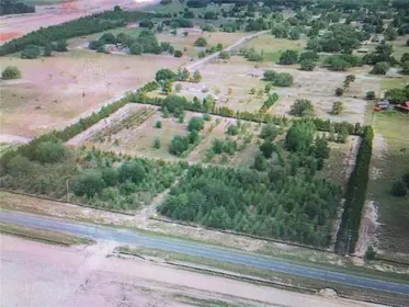 HOMOSASSA FL Property