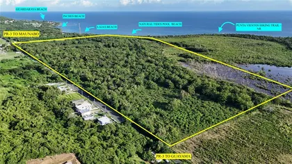 PATILLAS PR Property