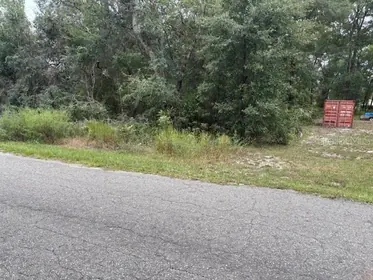 OCKLAWAHA FL Property