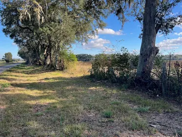 TRENTON FL Property
