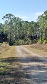 CEDAR KEY FL Property