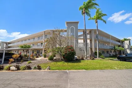 DUNEDIN FL Home