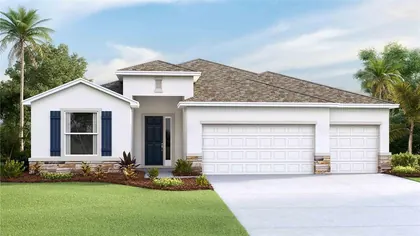 WESLEY CHAPEL FL Home