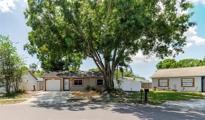 OLDSMAR FL Home