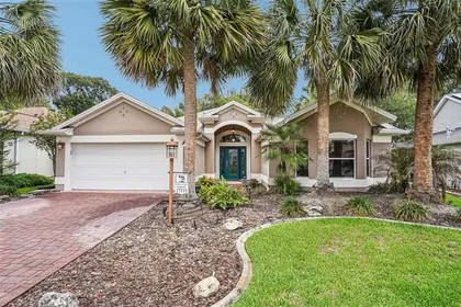 THE VILLAGES FL Home
