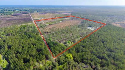 GAINESVILLE FL Property