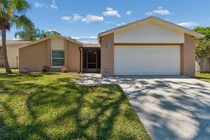 LUTZ FL Home
