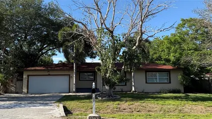 CLEARWATER FL Home