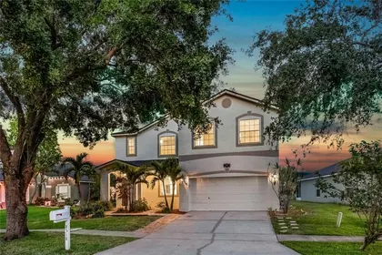 TAMPA FL Home