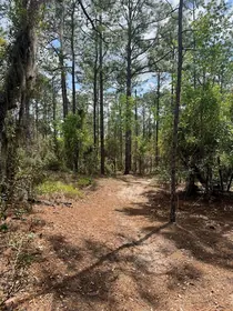 WILLISTON FL Property