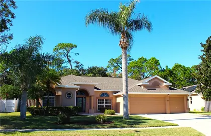 PORT ORANGE FL Home