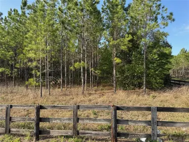 EUSTIS FL Property