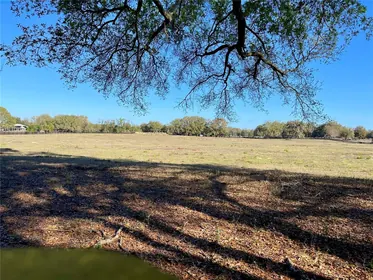 SUMMERFIELD FL Property