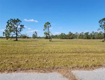 PLACIDA FL Property