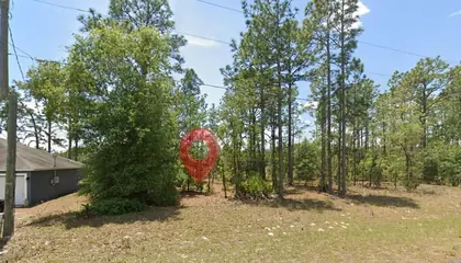 CITRUS SPRINGS FL Property