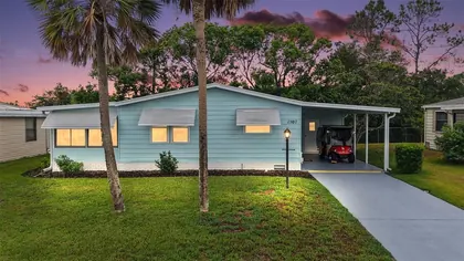 THE VILLAGES FL Home
