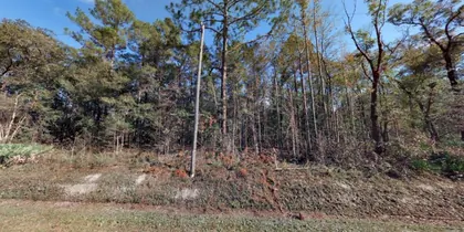 HASTINGS FL Property