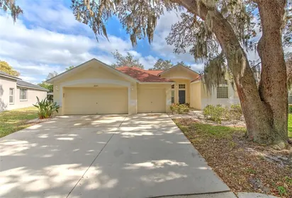 VALRICO FL Home