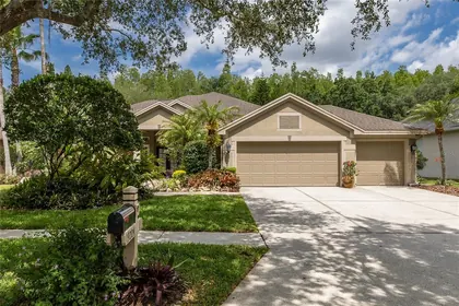 LUTZ FL Home