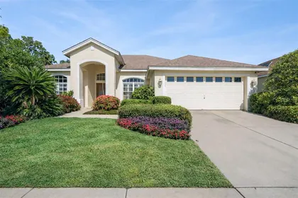 MOUNT DORA FL Home