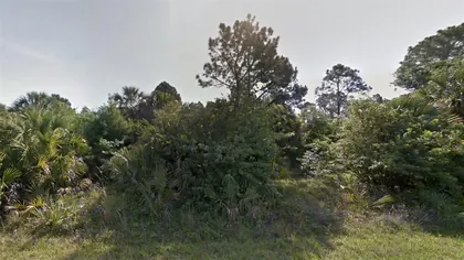 NORTH PORT FL Property