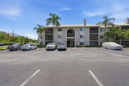 DUNEDIN FL Home